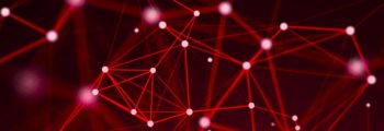 network management